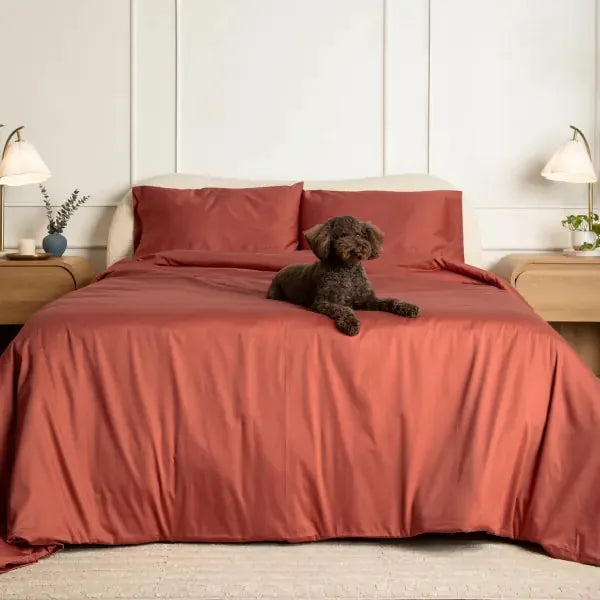 Sateen Dream™ Duvet Bundle